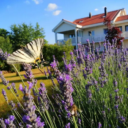 בית אירוח Ivy With Perfect Privacy, Pool, Sauna And Jacuzzi Opanci